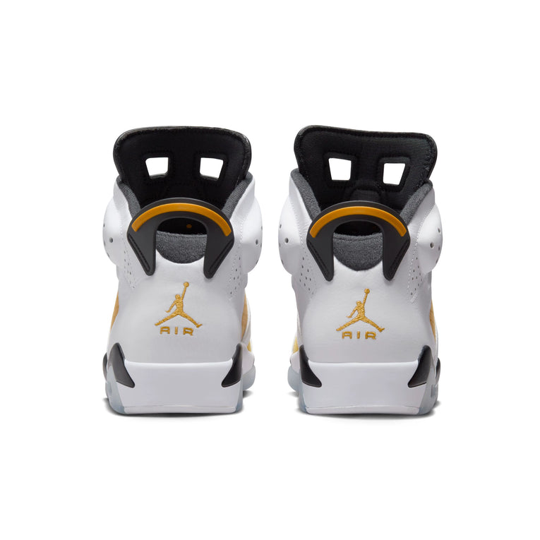 Nike Jordan AJ6 - Giày thể thao Nam CT8529